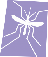 mosquito